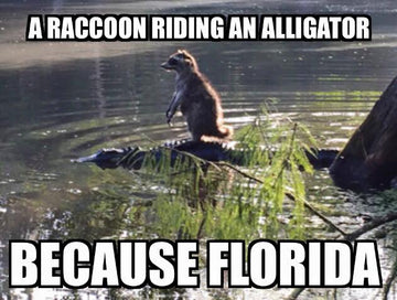 Fast and Free Shipping from Florida at Nerd Imports