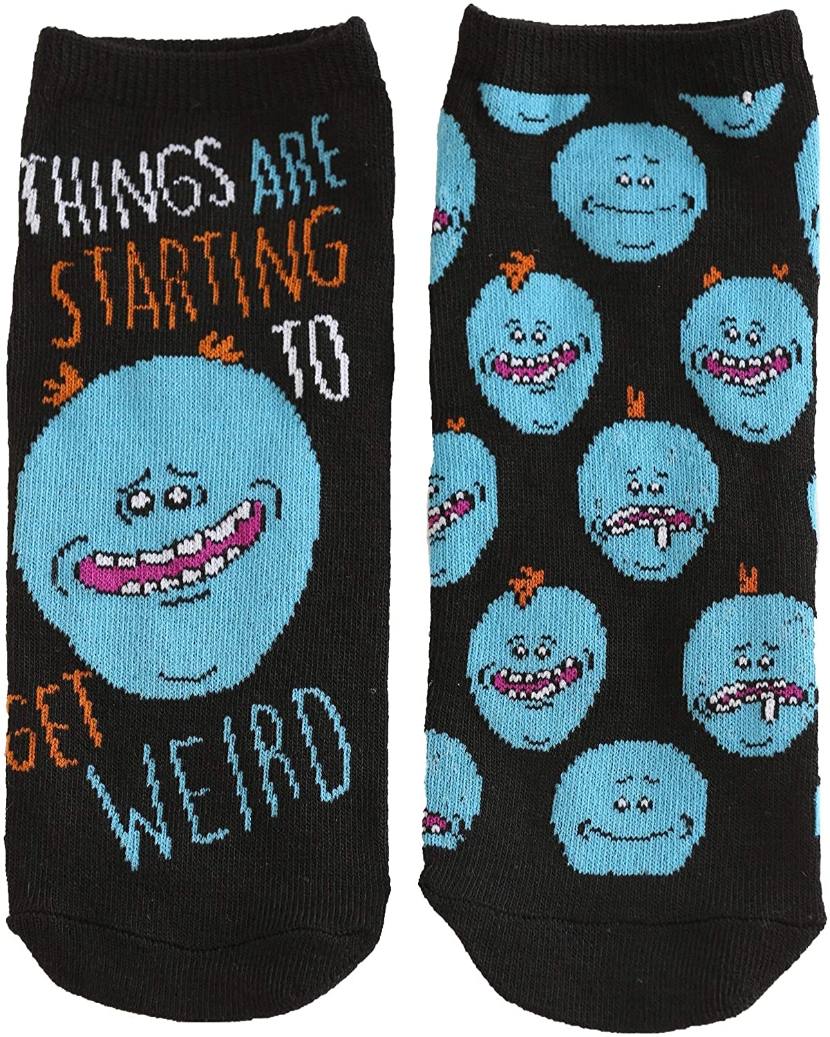 Rick and Morty Characters 5 Pair Pack Lowcut Womens Ankle Socks