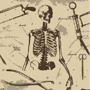 Antique Medical Crew Socks Anatomy Apparel