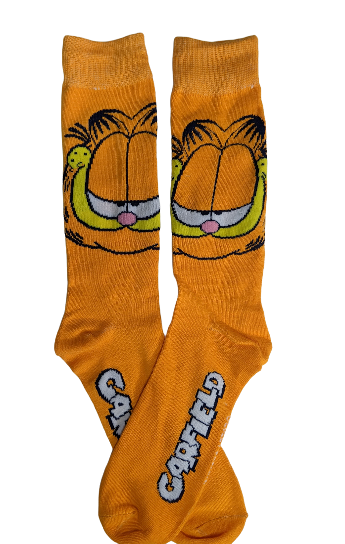 Nickelodeon Garfield Cat & Odie Dog Cartoon Character Men’s Crew Socks Two Pair Pack (Orange & Blue)